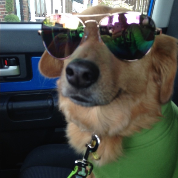 Meet your Posher, Crystal - Picture 2 of 3